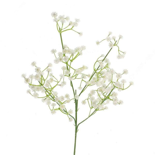 Гипсофила (Gypsophila)