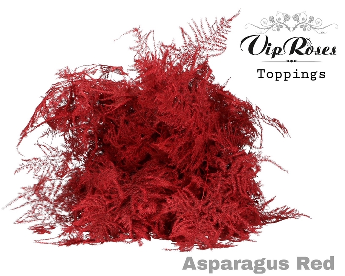 Аспарагус Extra Red (5 шт) 65 см