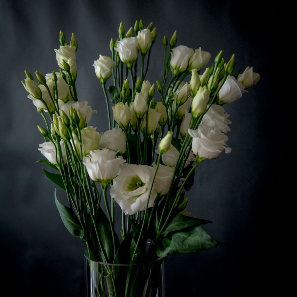 Эустома (Eustoma)